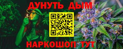 крисы Гагарин