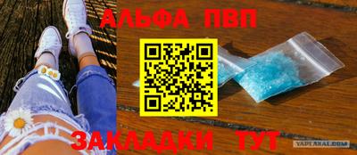 крисы Гагарин