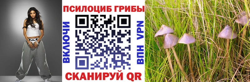 kraken ССЫЛКА  Тосно  Псилоцибиновые грибы MAGIC MUSHROOMS 