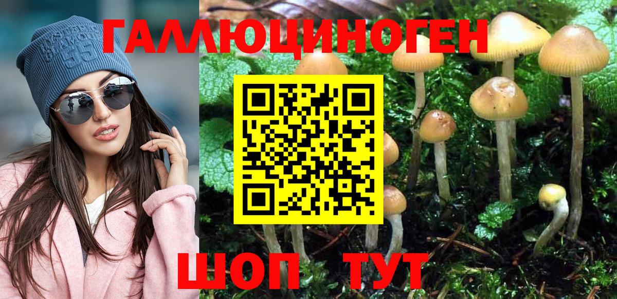 Галлюциногенные грибы прущие грибы Тосно