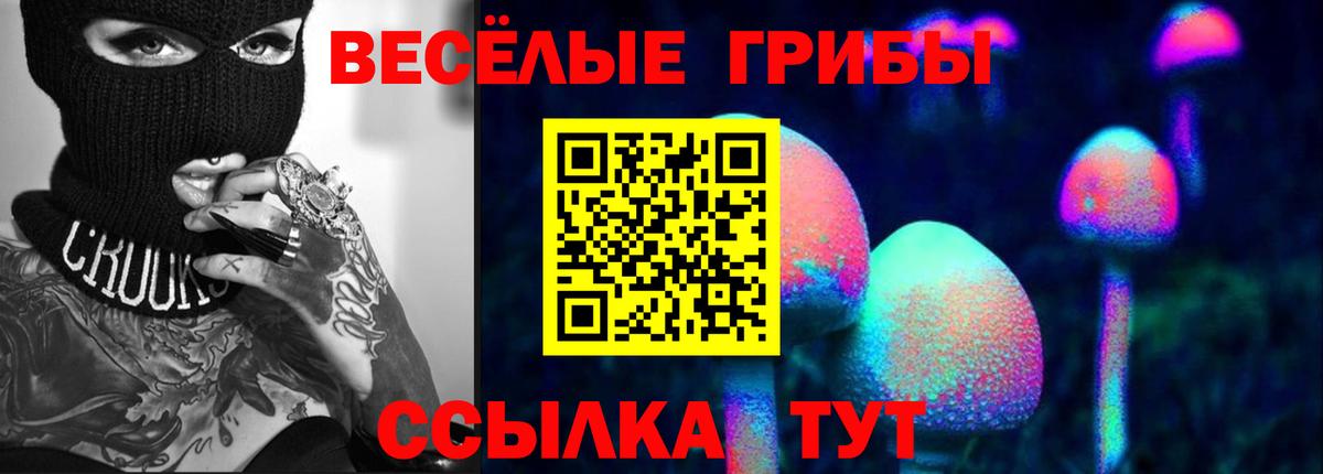 Тосно  Псилоцибиновые грибы мицелий  Вход с VPN 
